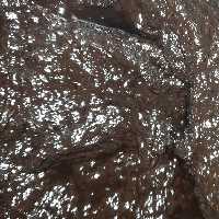 رب الوچه شیرین (600گرمی)