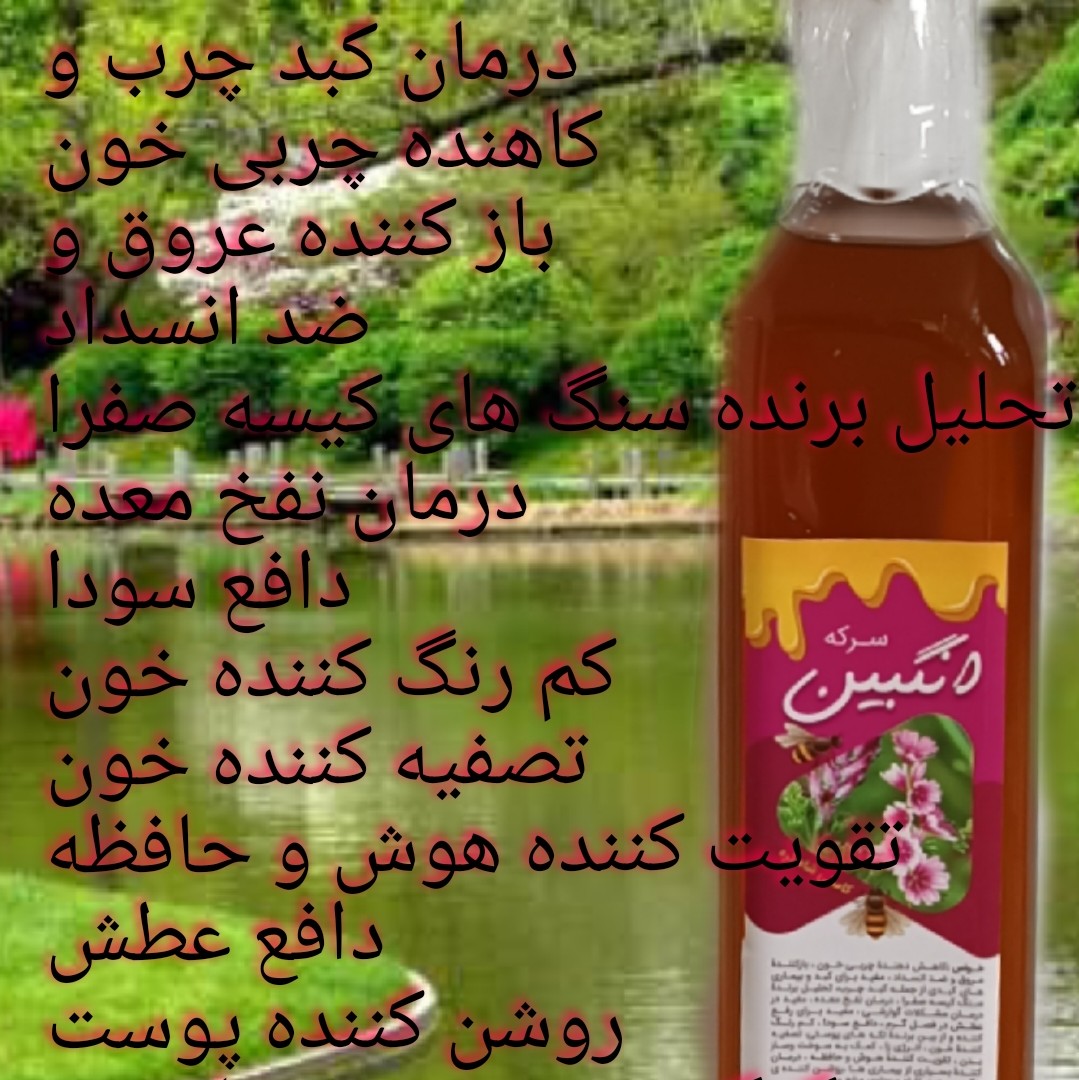 سرکه انگبین کاسنی شاتره
