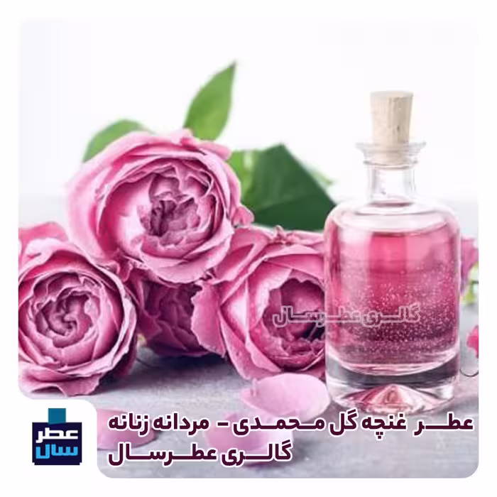 عطر غنچه گل محمدی از 4 تا 100 میل قابل سفارش ( عطر غنچه اصلی) 