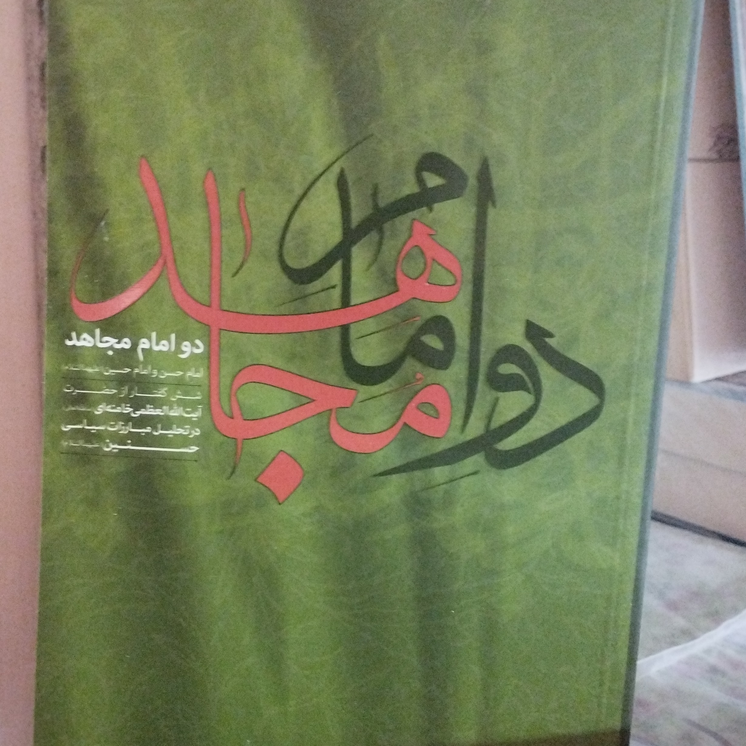 کتاب دو امام مجاهد