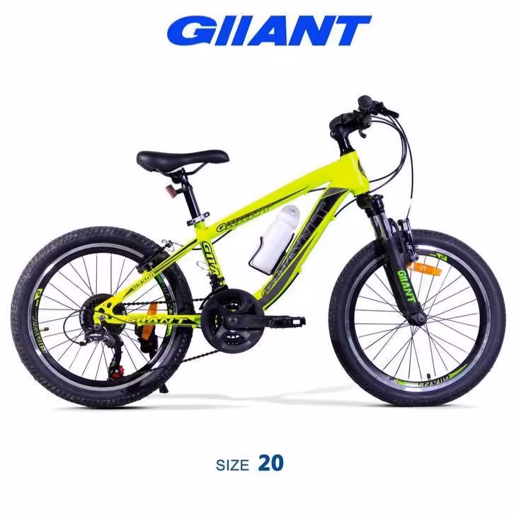 دوچرخه 20 جیانت