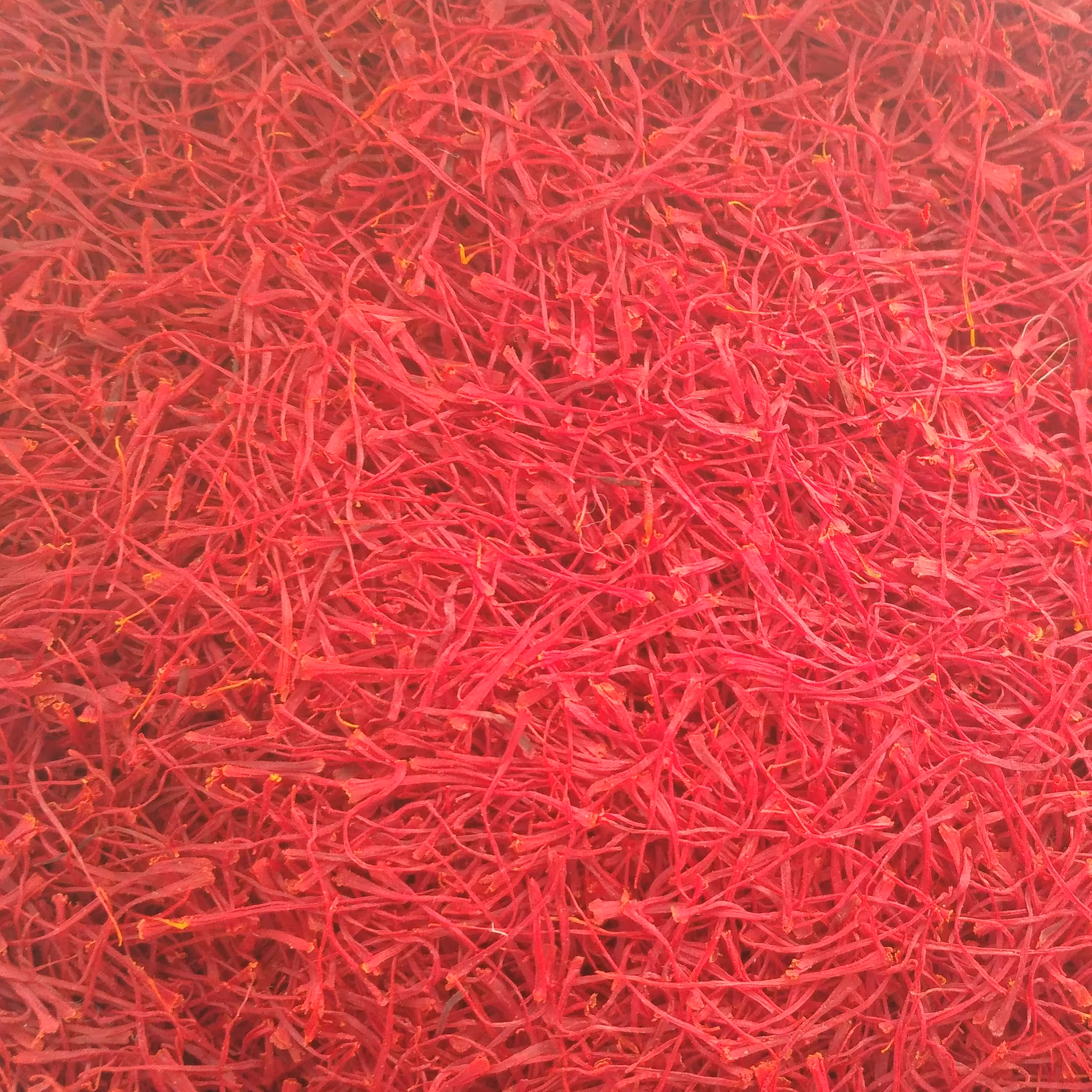 زعفران نگین صادراتی 