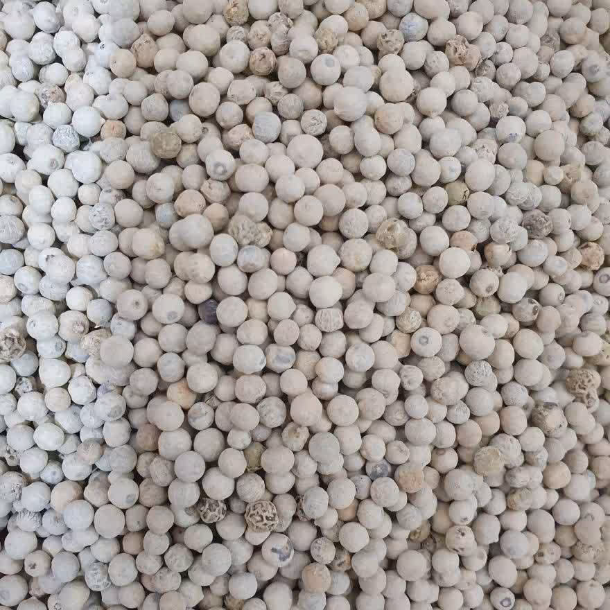 فلفل سفید 50 گرم 