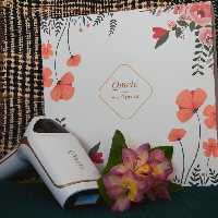 دستگاه لیزر موهای زائد کیومل مدل 301s