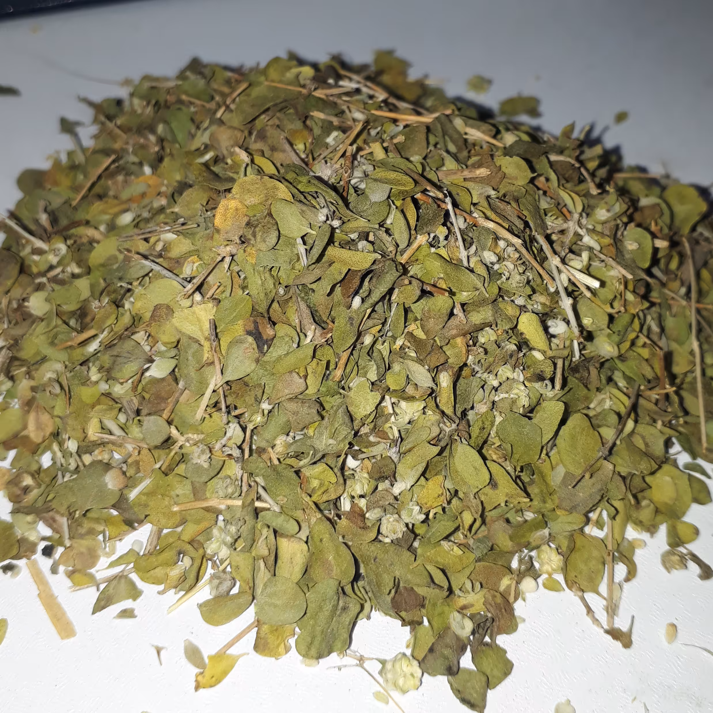 آویشن شیرازی