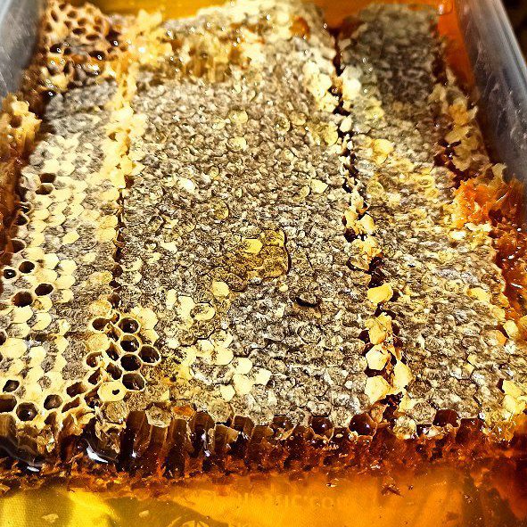 عسل باموم چهل گیاه خلخال