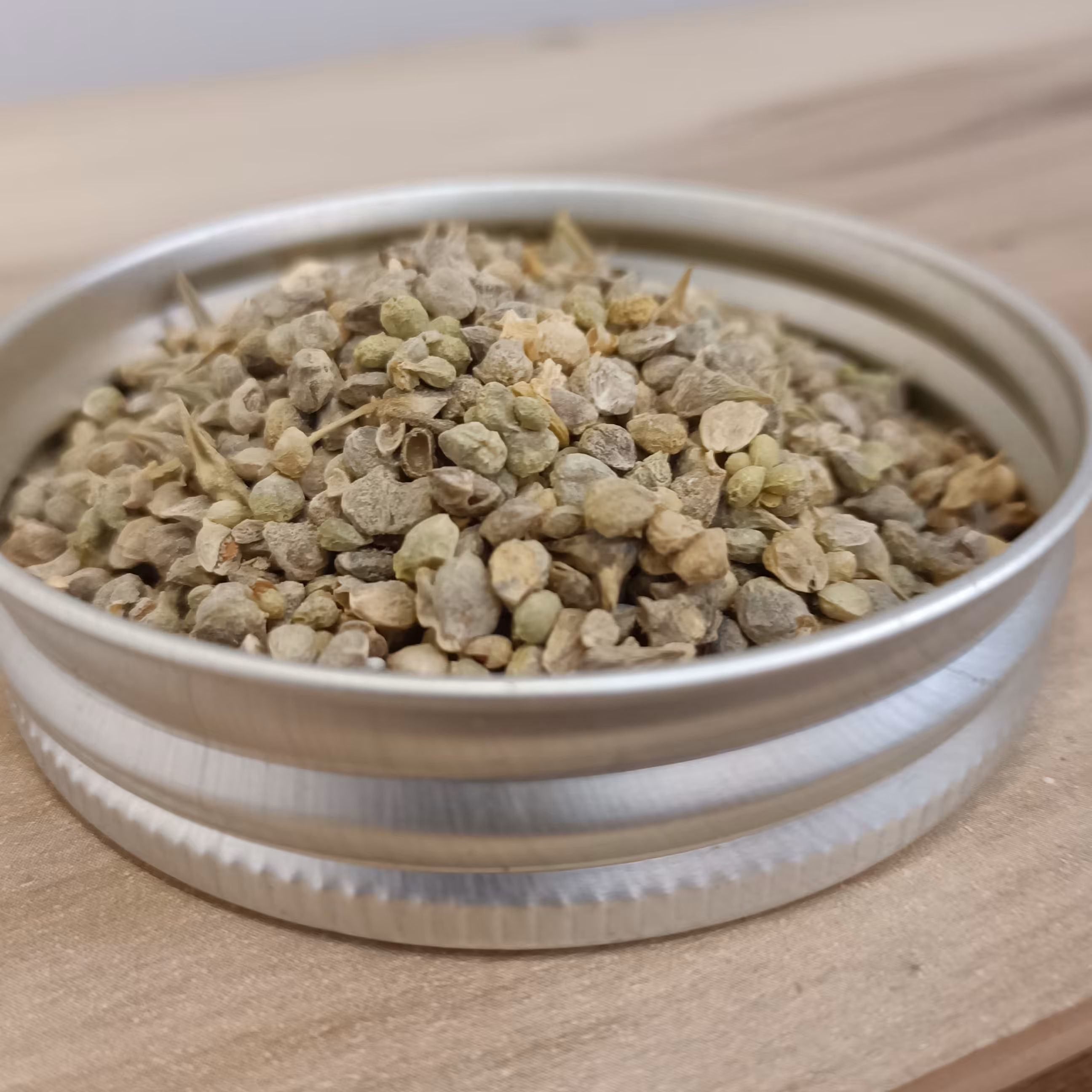 بذر اسفناج 75 گرم