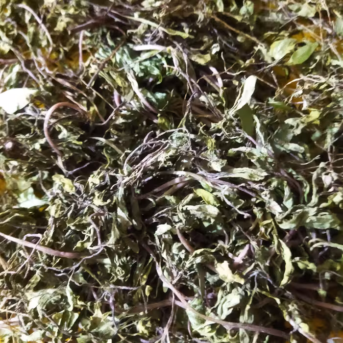  سبزی مرزه خشک