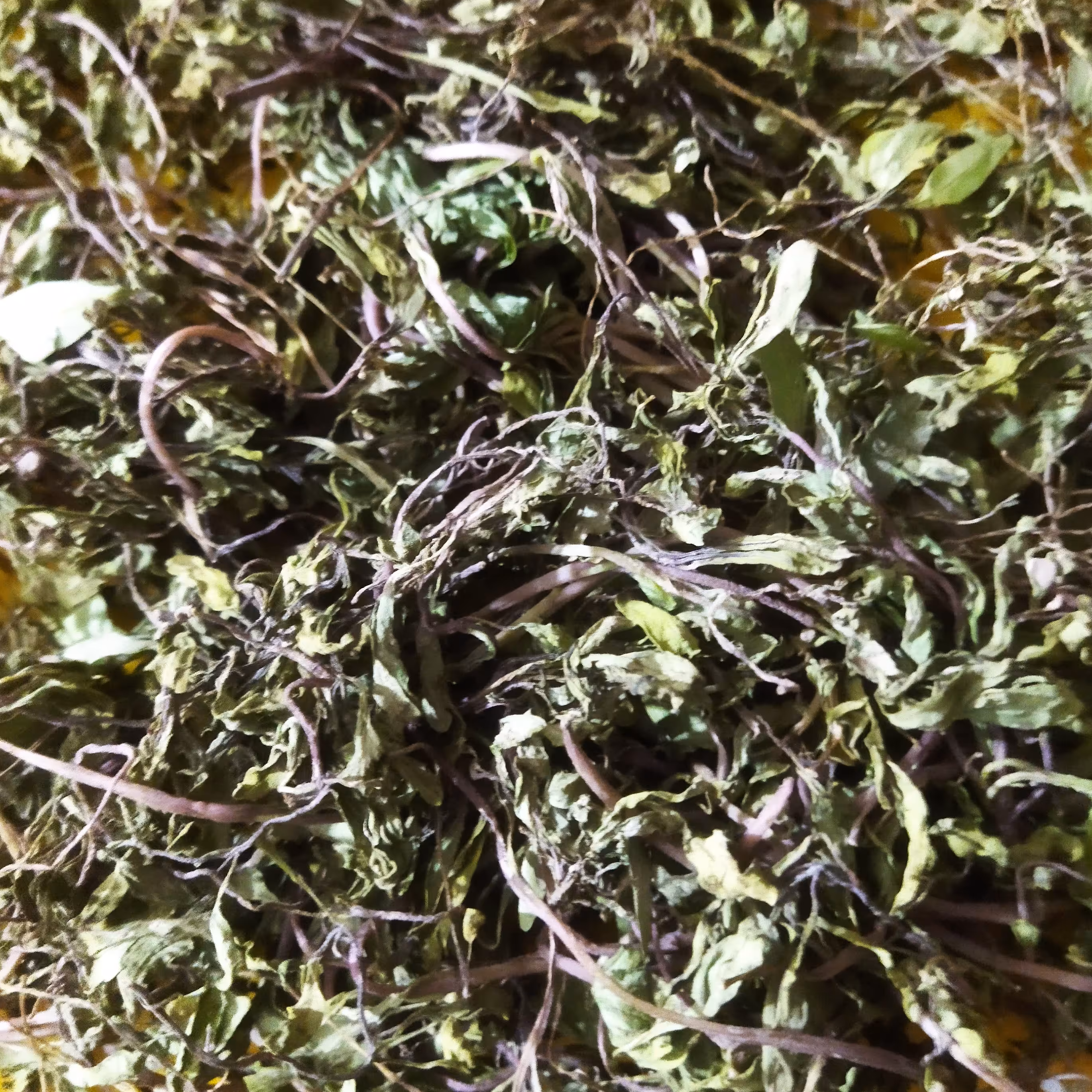  سبزی مرزه خشک