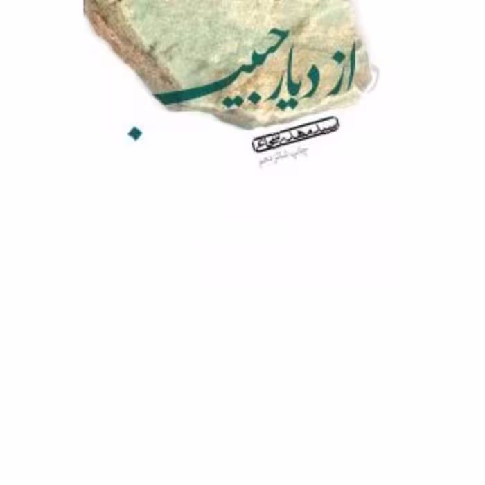 کتاب داستان از دیار حبیب اثر سید مهدی شجاعی کتاب نیستان رمان حبیب بن مظاهر اسدی
