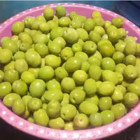 زیتون کنسروی درشت ویژه