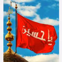 زیتون پرورده 