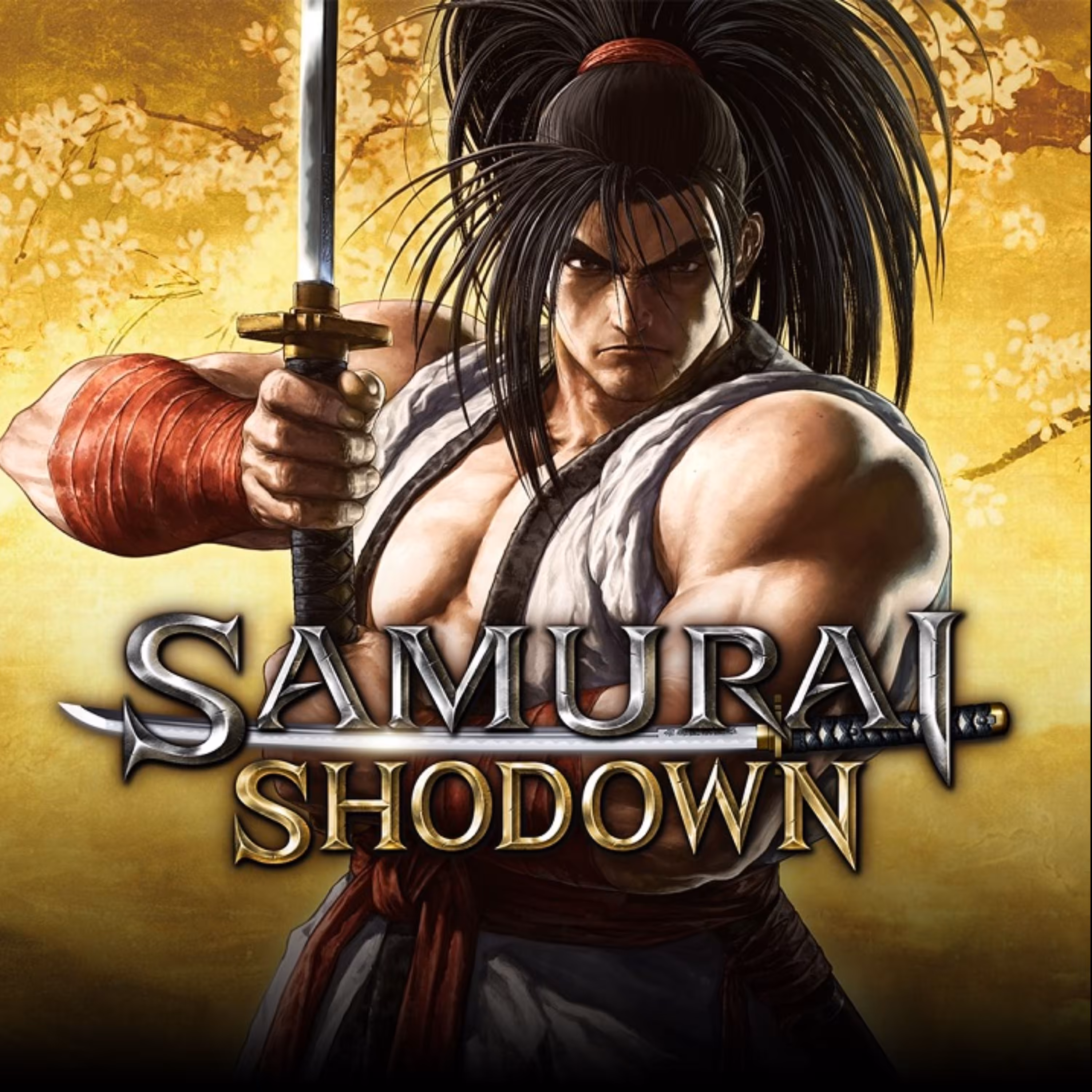 بازی کامپیوتری Samurai Shodown