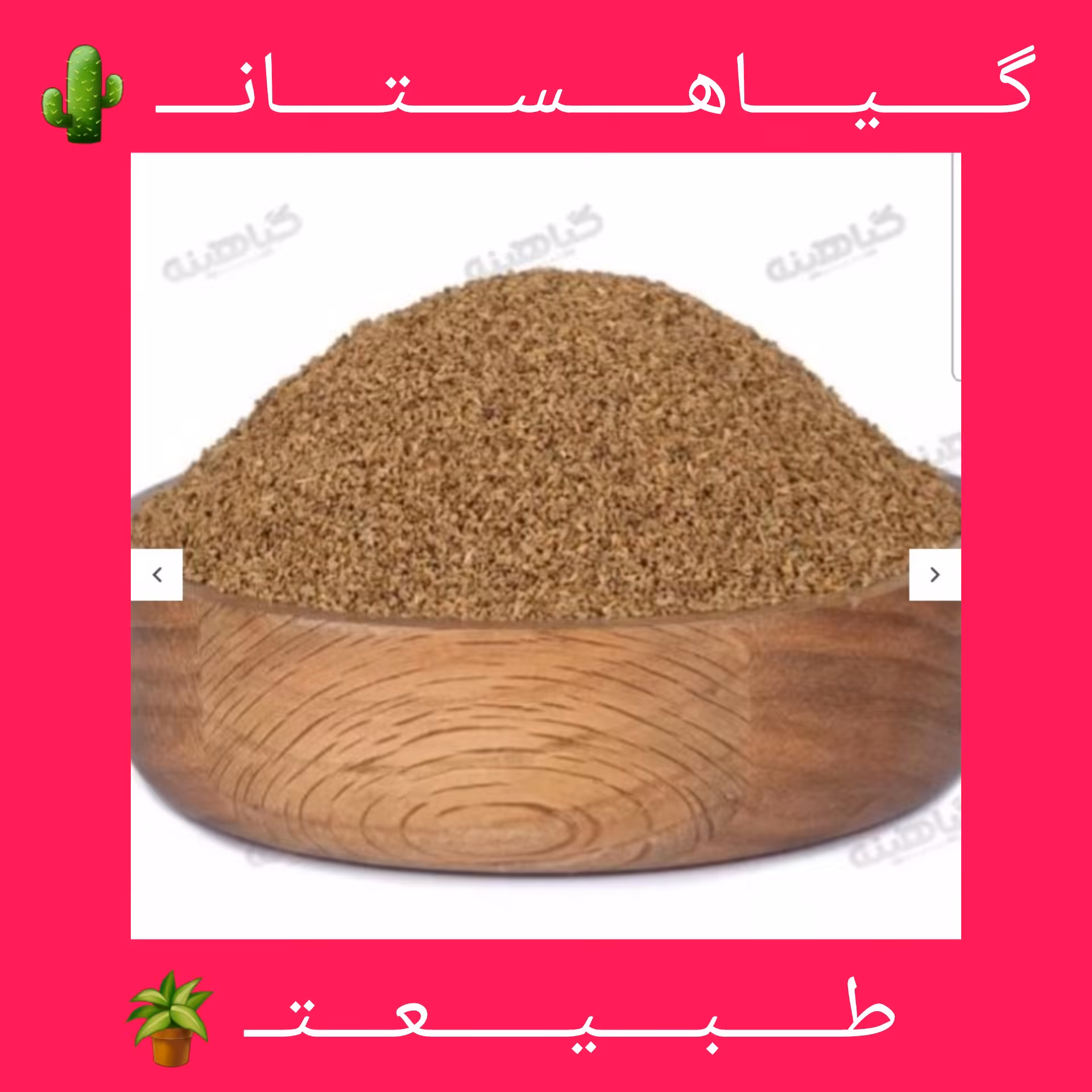 زنیان اعلا (سرت شده) (1000گرمی ) به شرط