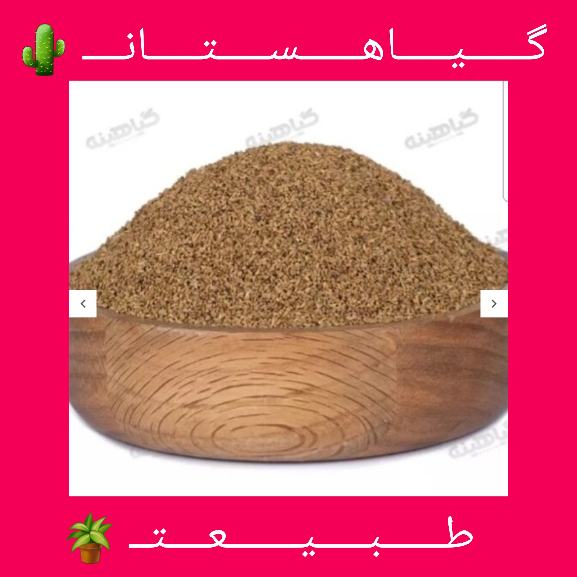 زنیان اعلا (سرت شده) (1000گرمی ) به شرط