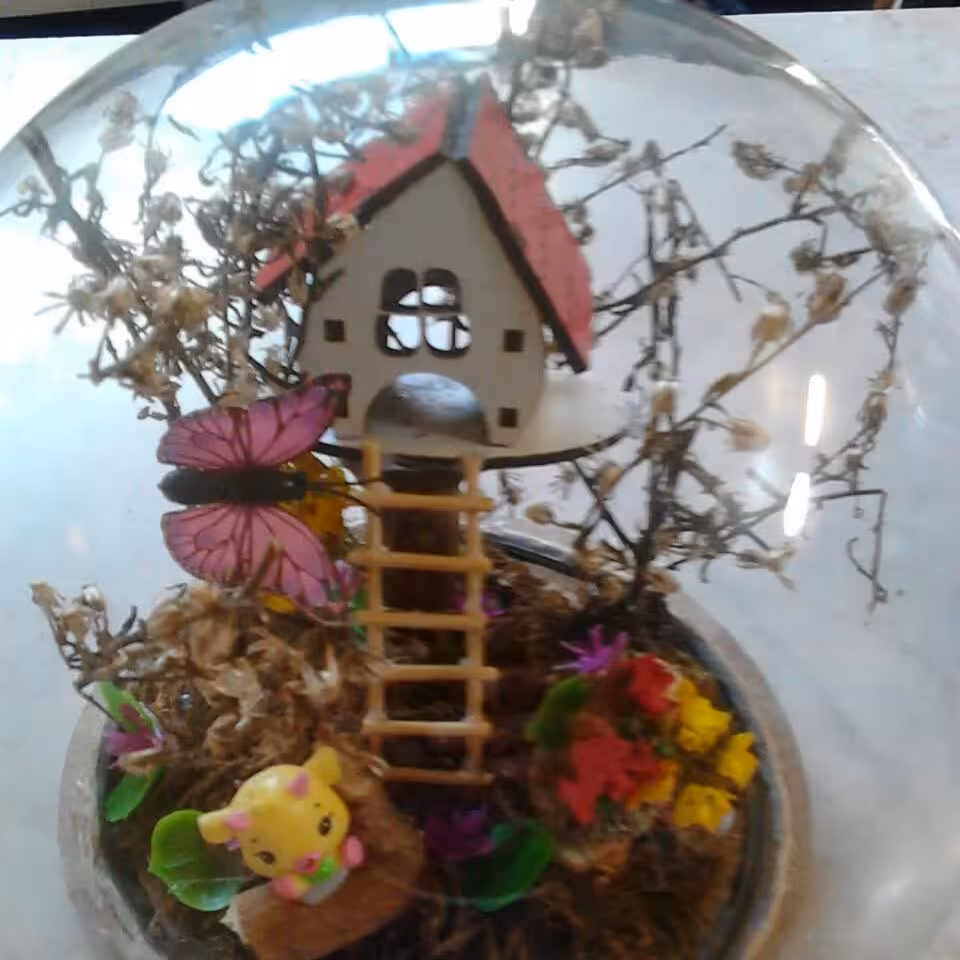 باکس شیشه فلکسی تزیینی 