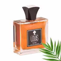 ادوپرفیوم مردانه برند لوئیس آلاویا مدل LOUIS حجم 100 میلی لیتر