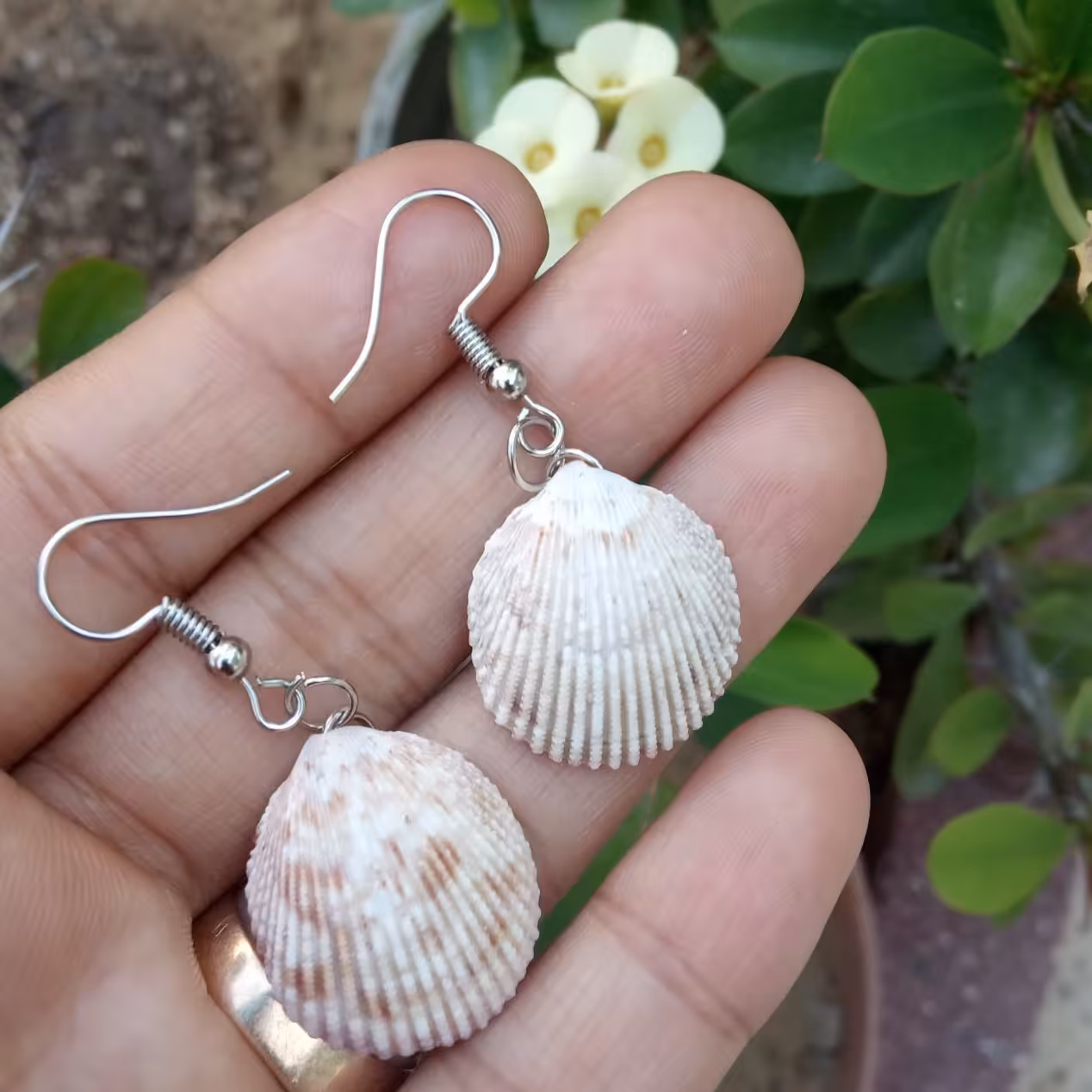 گوشواره صدفی