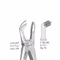 فورسپس بزرگسال عقل پایین - falcon