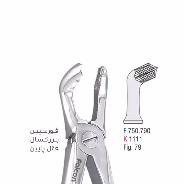 فورسپس بزرگسال عقل پایین - falcon