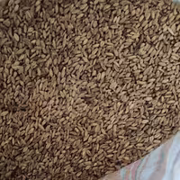 گندم کامل یک  کیلو 