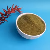 پودر برگ کرفس خشک شده 100 گرمی