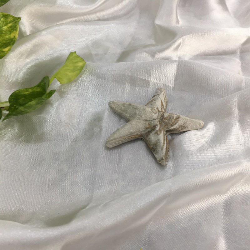 ستاره تزئینی