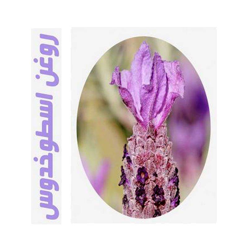 روغن ماساژ لیتری اسطوخدوس
