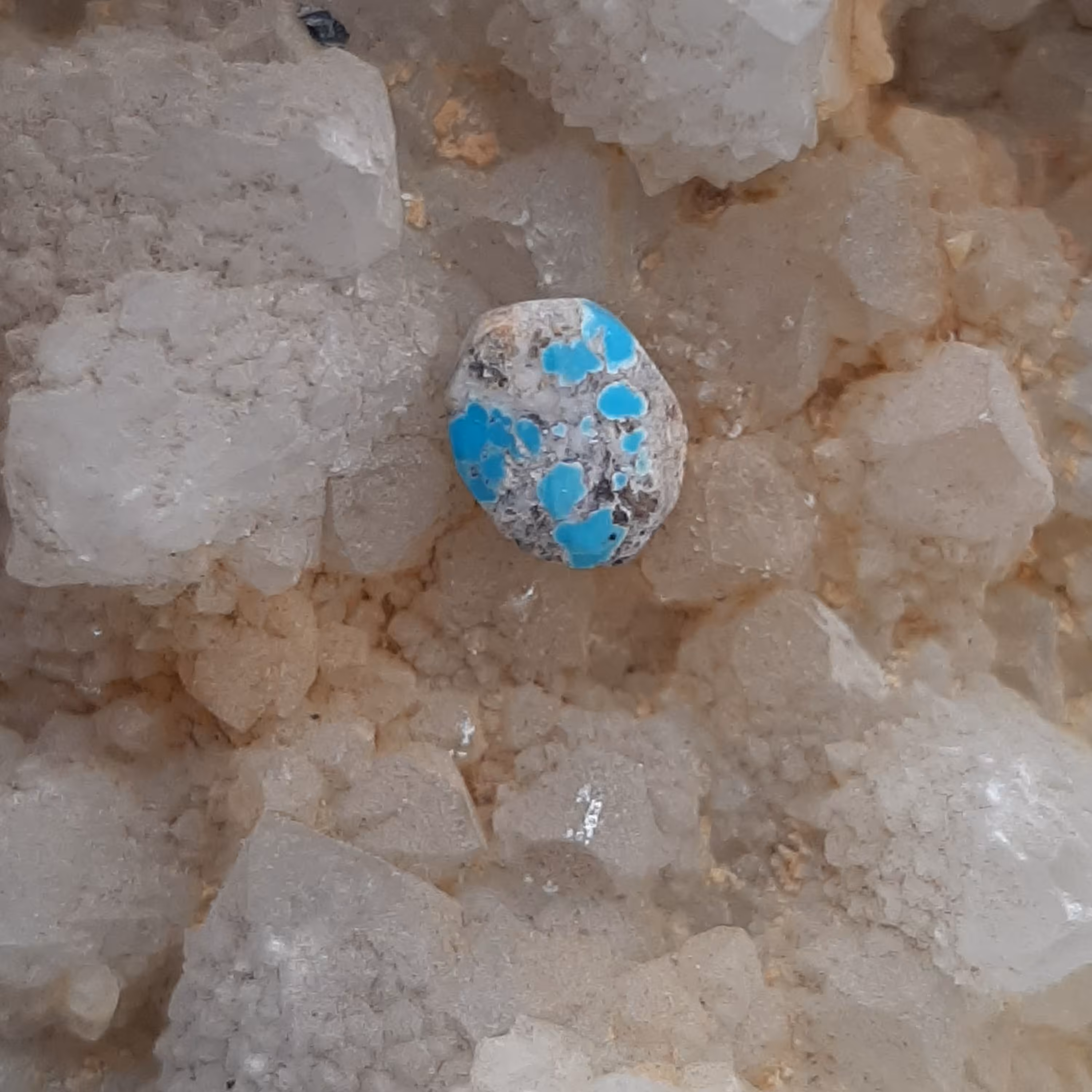 نگین فیروزه کد 1186