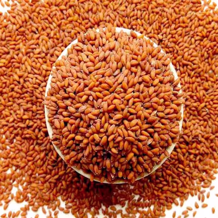 بذر شاهی