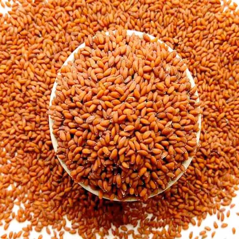 بذر شاهی