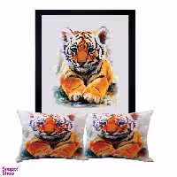 کوسن رنس مدل S9-41046 به همراه تابلو چند رنگ