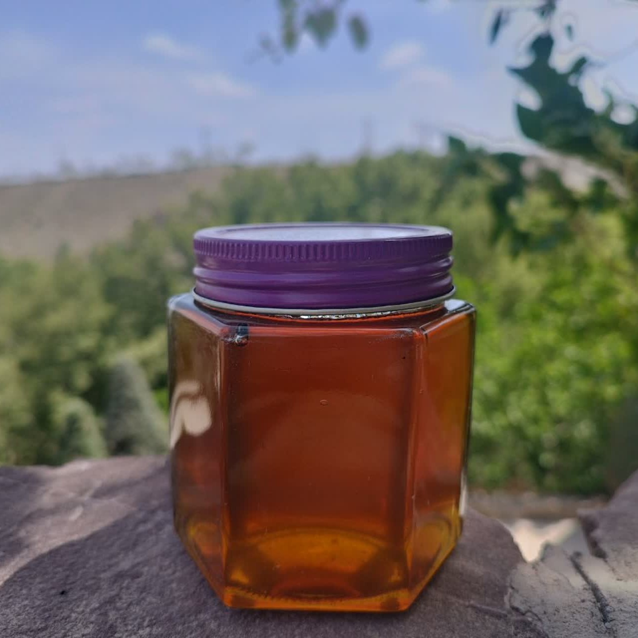 عسل معطر چند گیاه استان فارس صادراتی 400 گرمی ظرف شیشه خرس-خور ارسال رایگان ضمانت مرجوعی