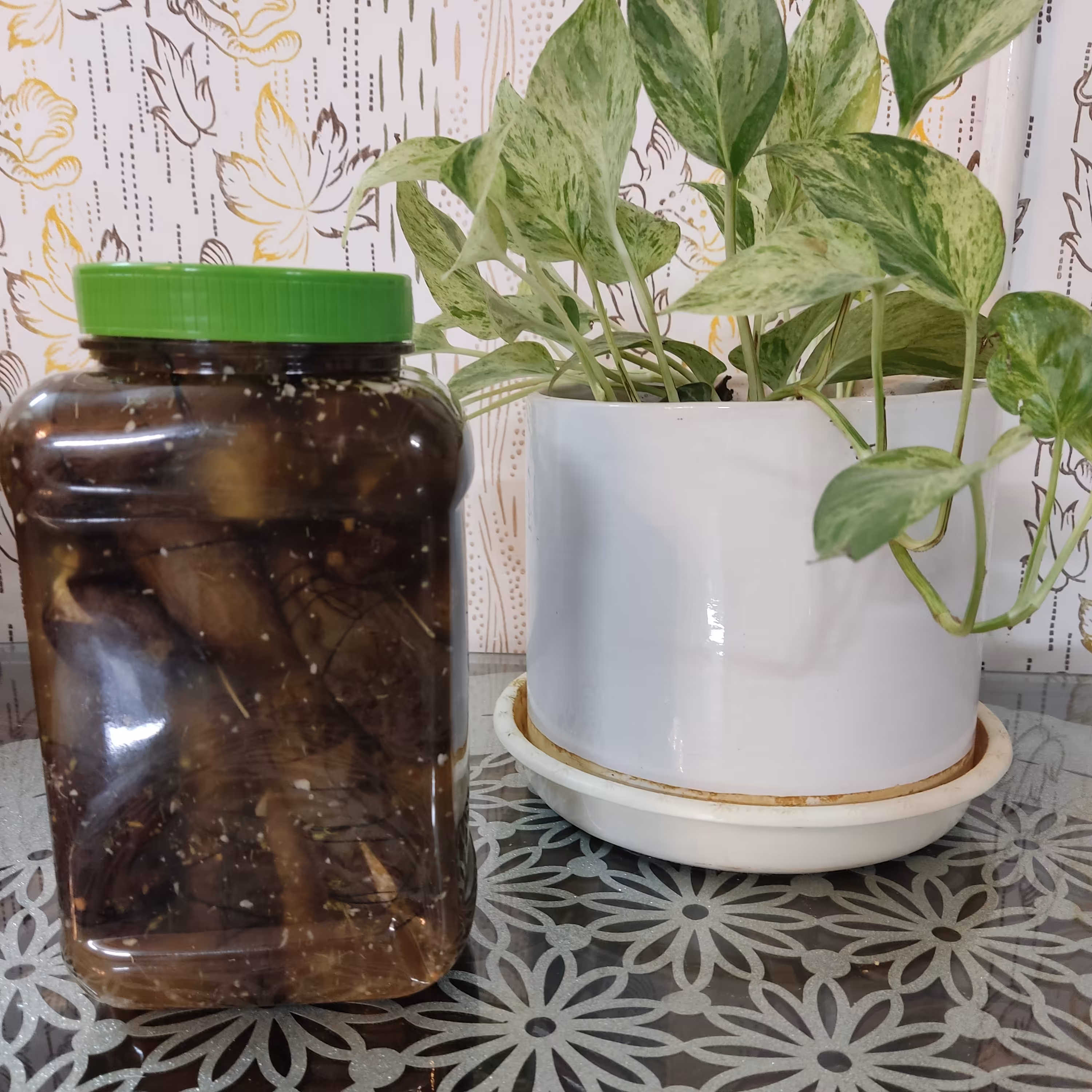 شوری  بادمجان شکم پر