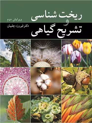 کتاب ریخت شناسی و تشریح گیاهی