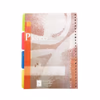 کاغذ کلاسور خطی 26 سوراخ دیوایدر دار بسته 100 عددی نور