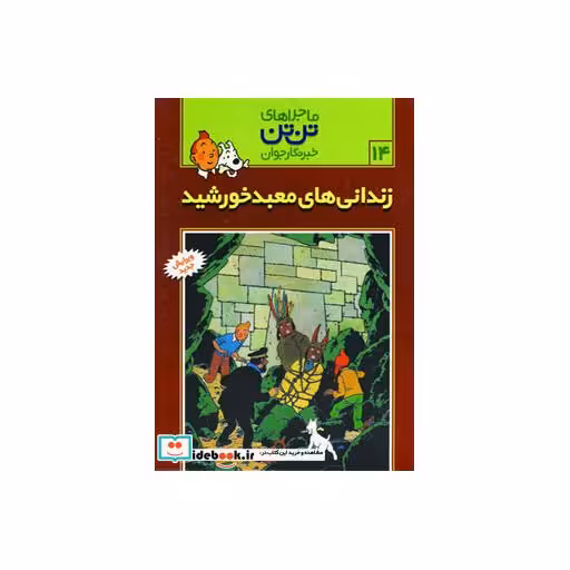 کتاب تن تن 14