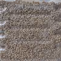 گندم حلیمی ( یک کیلویی) 