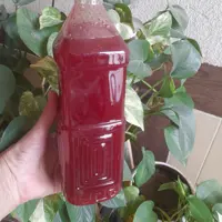 شربت توت فرنگی کردستانی خانگی .غلیظ .خوشرنگ .خوش طعم .خالص .بدون نگهدارنده وافزودنی 