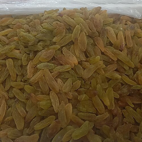 کشمش سبز قلمی