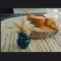  کره بادام زمینی خالص و ارگانیک  گونَش ارگانیک 550 گرمی