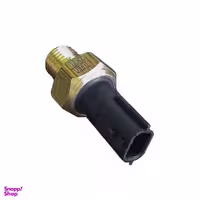 فشنگی فشار روغن ایمن تک کد 353 مناسب برای رنو ال 90
