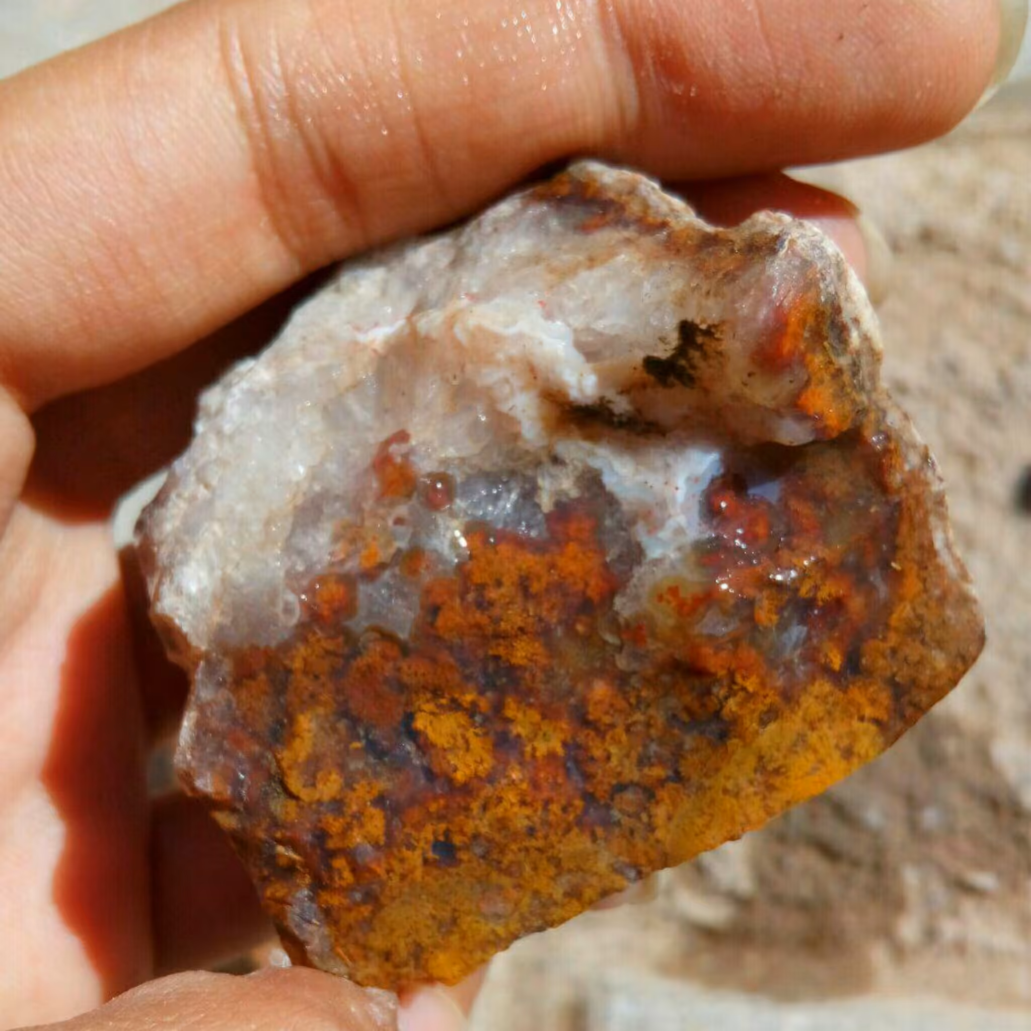 راف بسیار دیدنی شجر پاییزی مختص تراش نگین های بسیار زیبا و کلکسیون