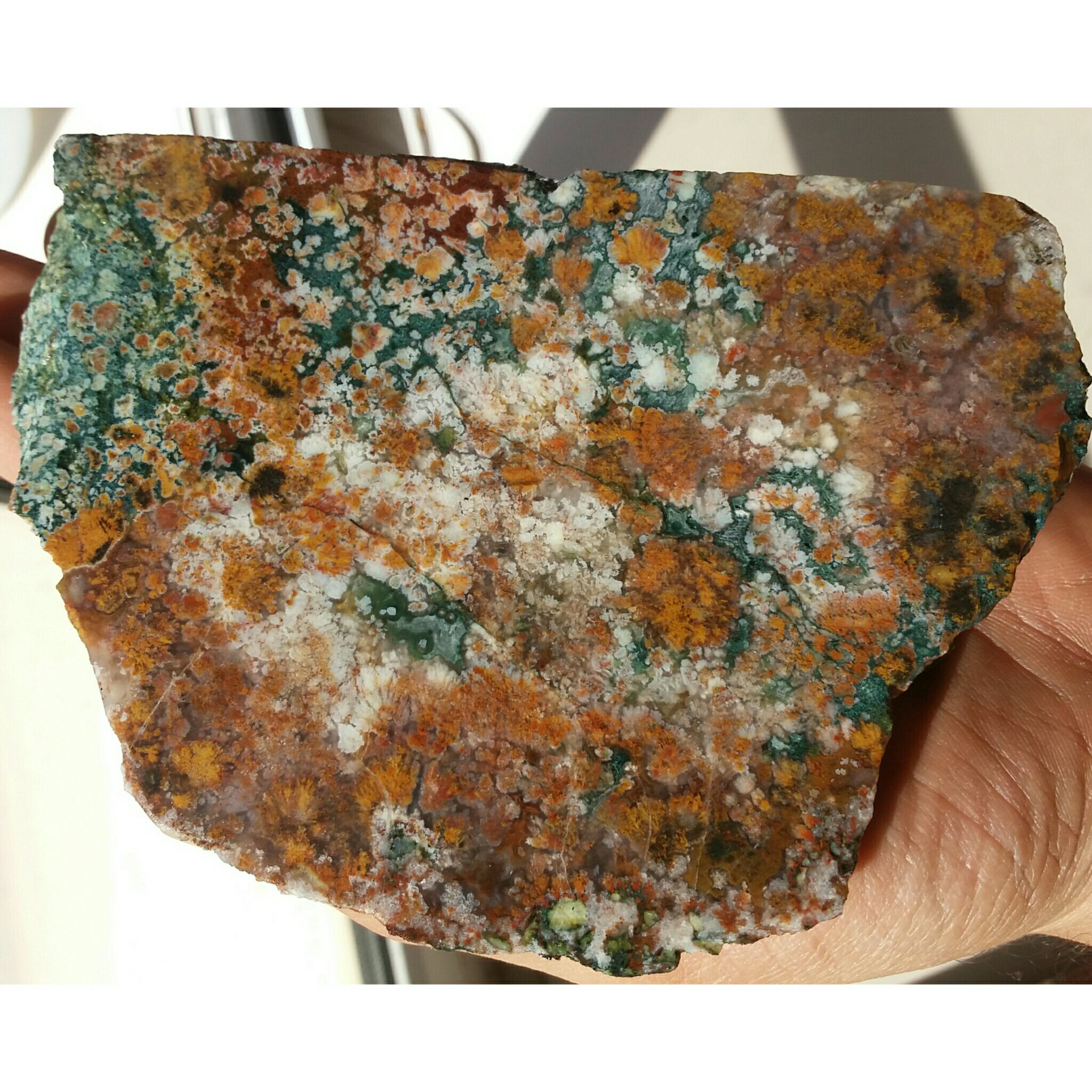 اسلایس سنگ راف غولپیکر شجر شکوفه 7رنگ بی نظیر خارق العاده و تک 100 در 100 طبیعی