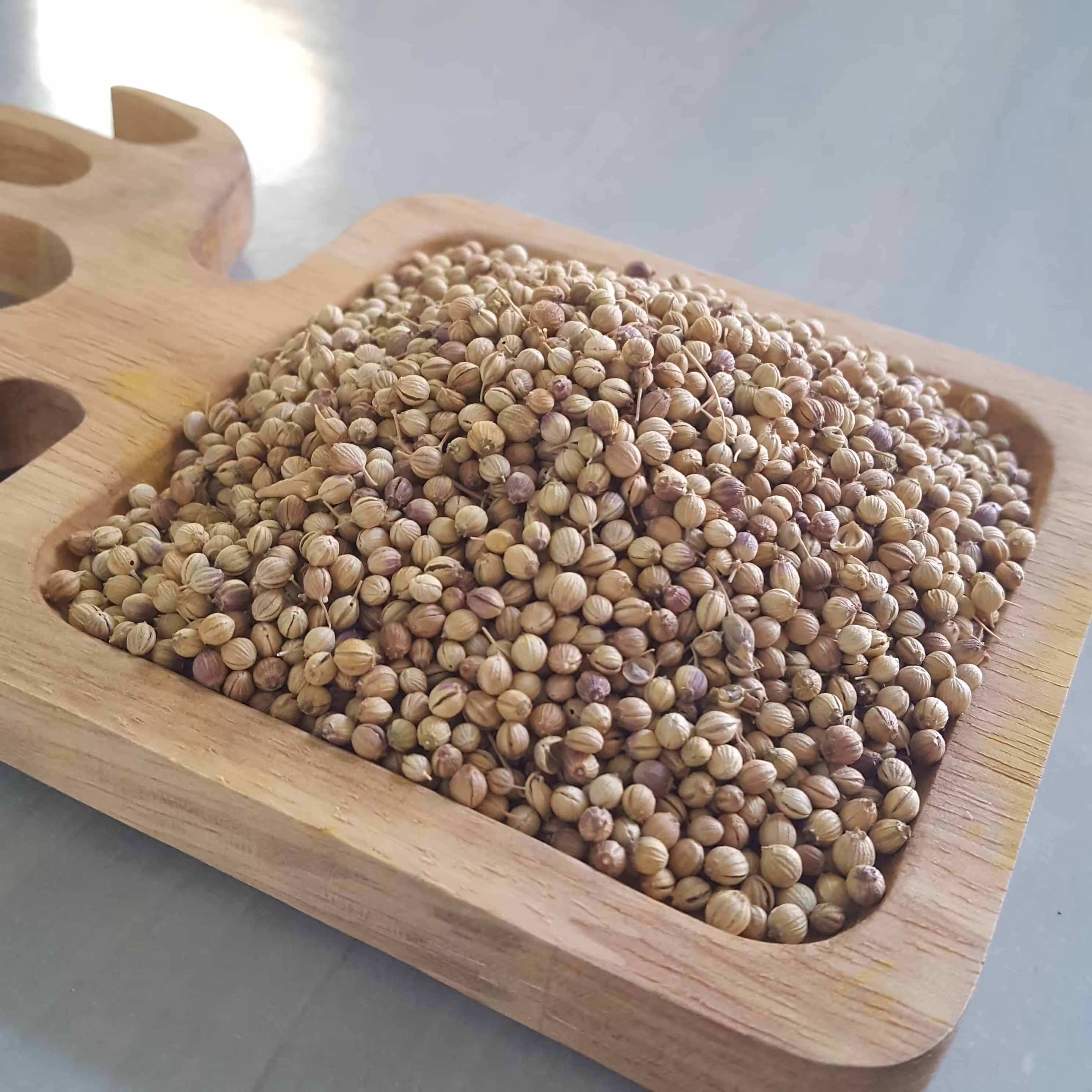 تخم گشنیز اعلا 100 گرم 