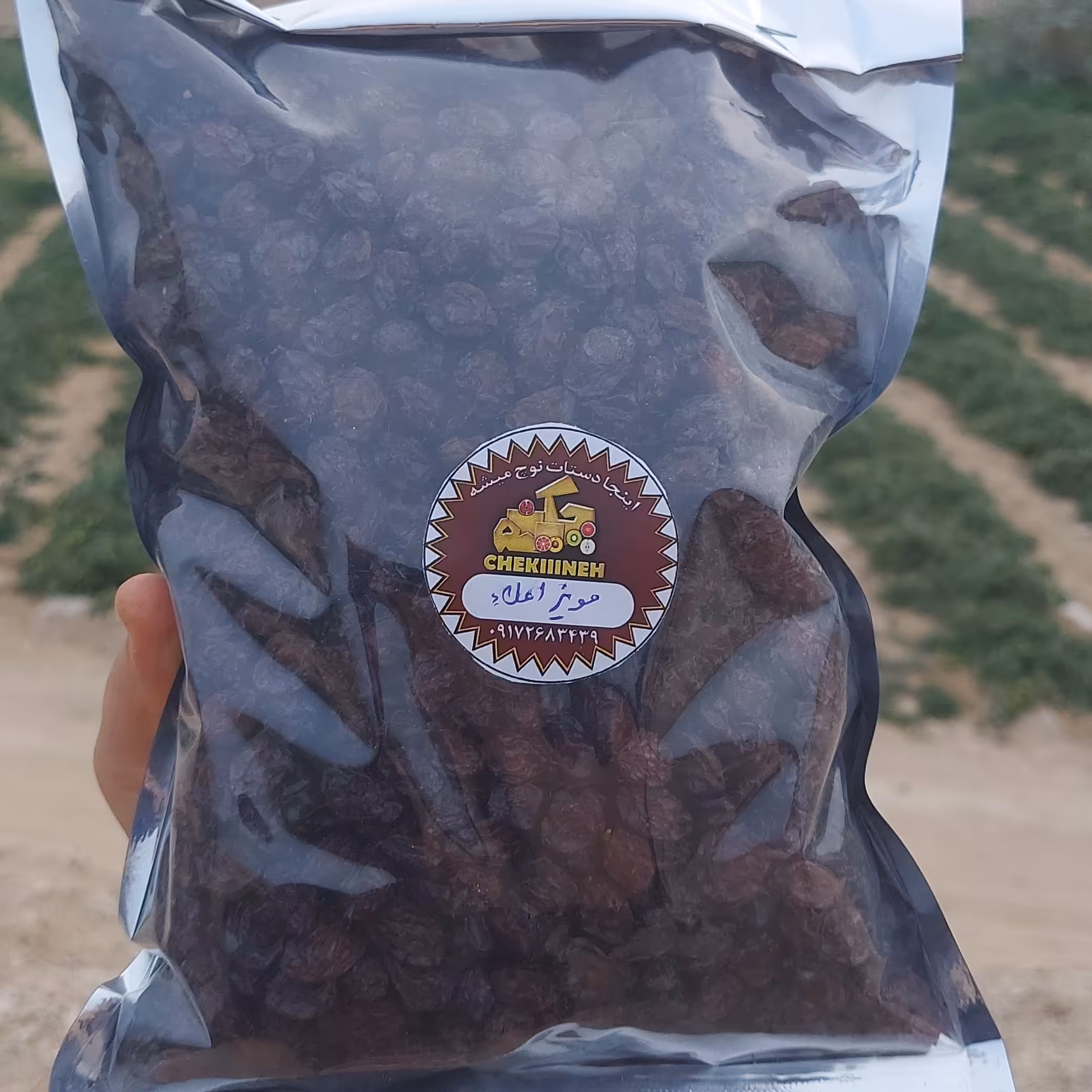 مویزِ تمیز هسته دار