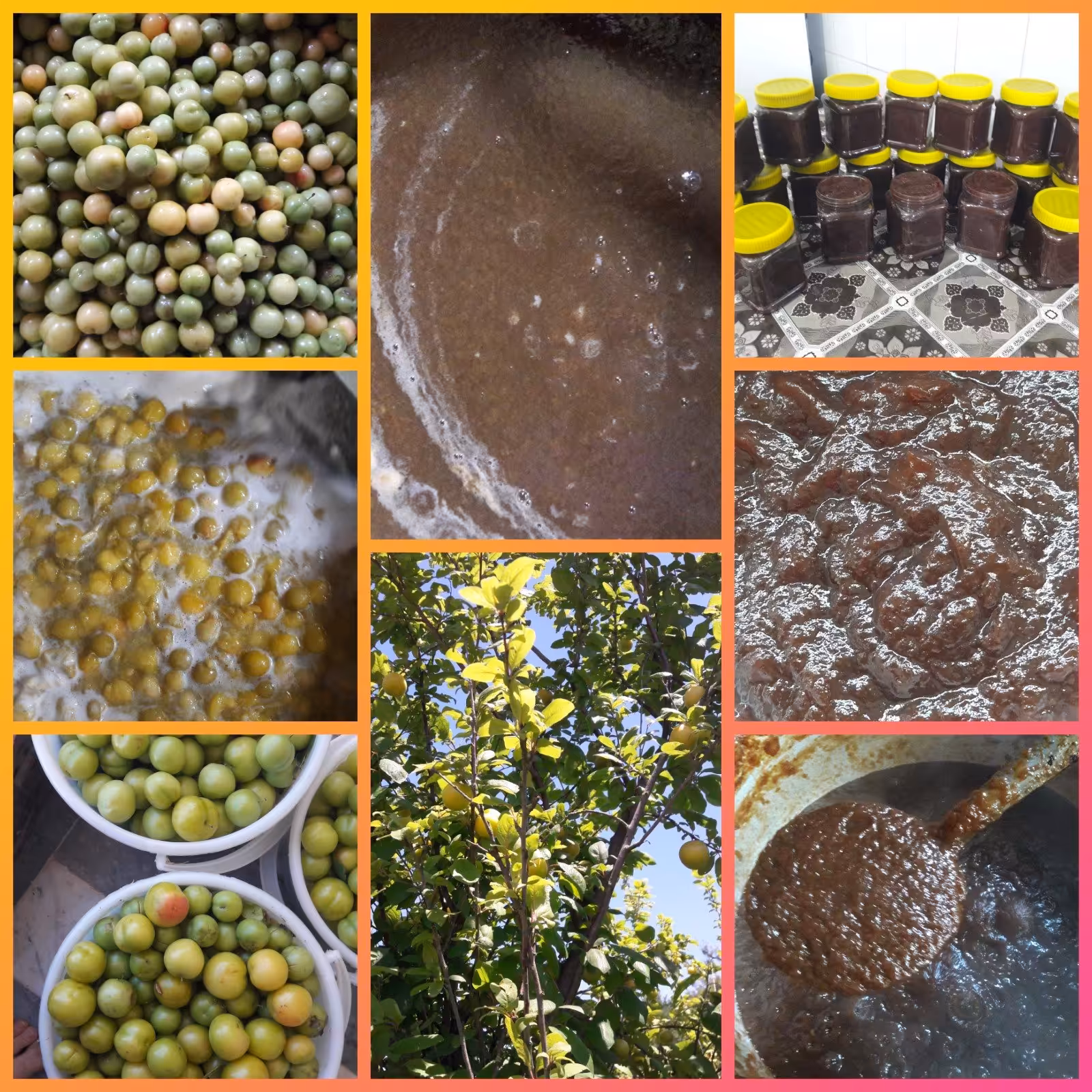 رب آلوچه ملس خانگی مازند مزرعه( نیم کیلوگرم)