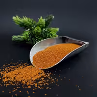 خاکشیر تمیز و اعلاء(100 گرم)عطاری چیلی