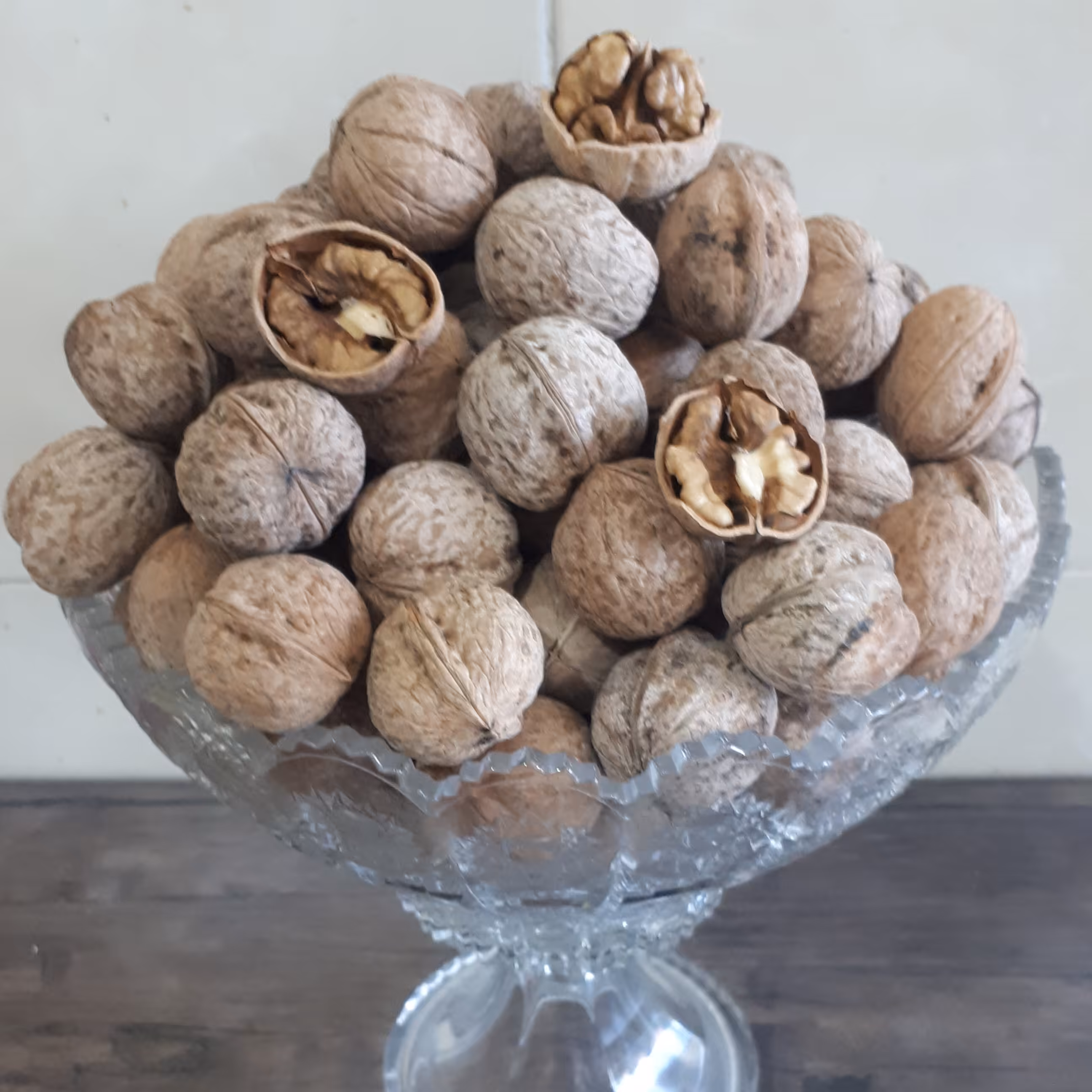 گردو  پرچرب و امساله  بوانات