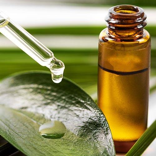 روغن کندوش